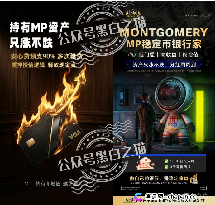 “MP蒙哥马利”项目暗藏玄机，巨大渔网洒向投资人(12)